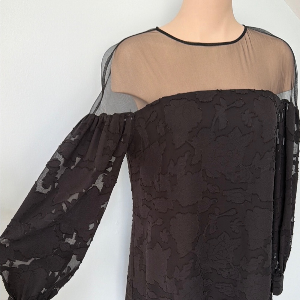 BB Dakota Black Sheer Long Sleeve Dress